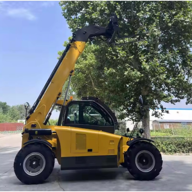 Customized High Quality Teleha - Telescopic Handler Boom 评论和价格